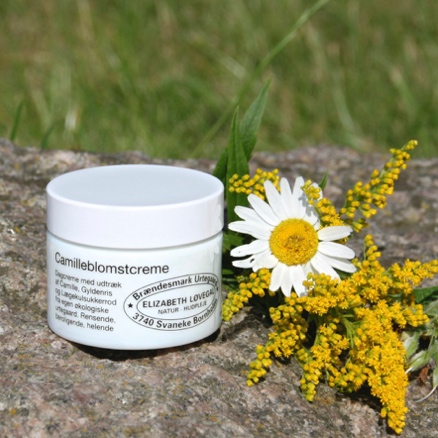 Løvegal camilleblomstcreme dagcreme